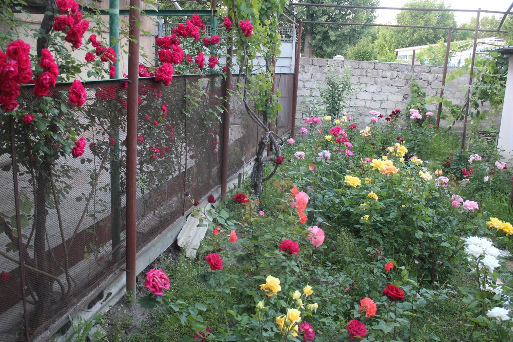 Guesthouse Levani Gori Bagian luar foto